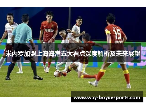 米内罗加盟上海海港五大看点深度解析及未来展望